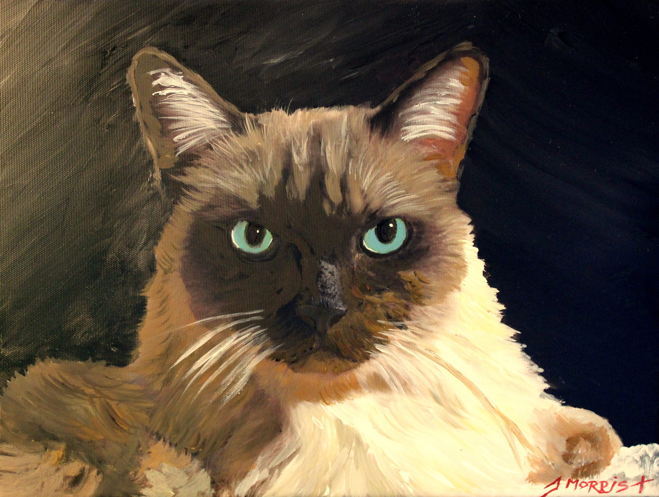 Custom cat portraits